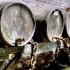 Os diferentes tipos de vinhos e suas características distintas