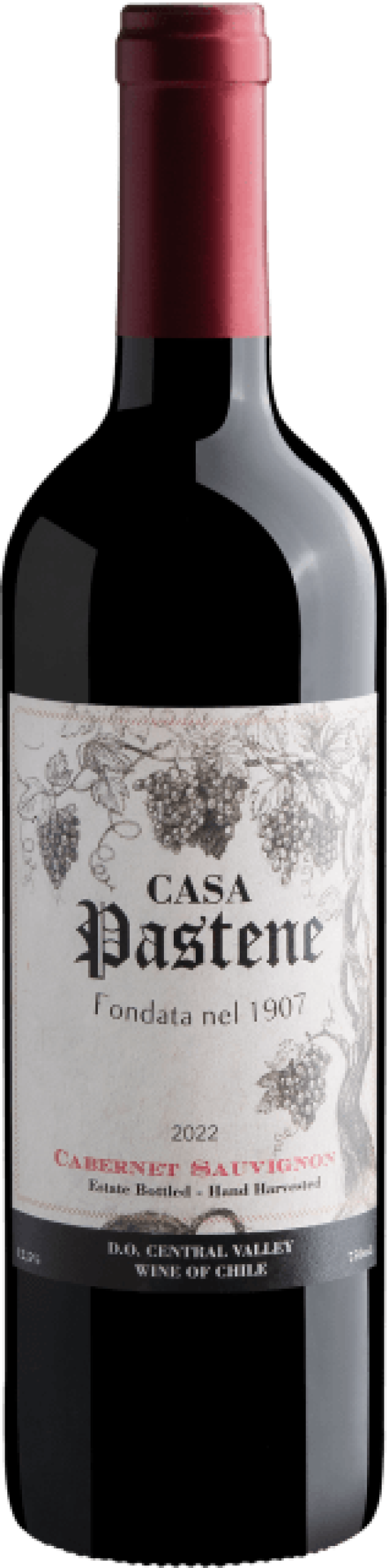 Casa Pastene Cabernet Sauvignon Central Valley D.O. 2022