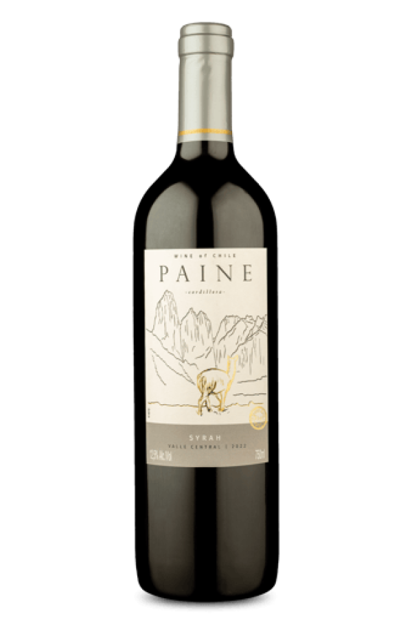 Paine Syrah 2022