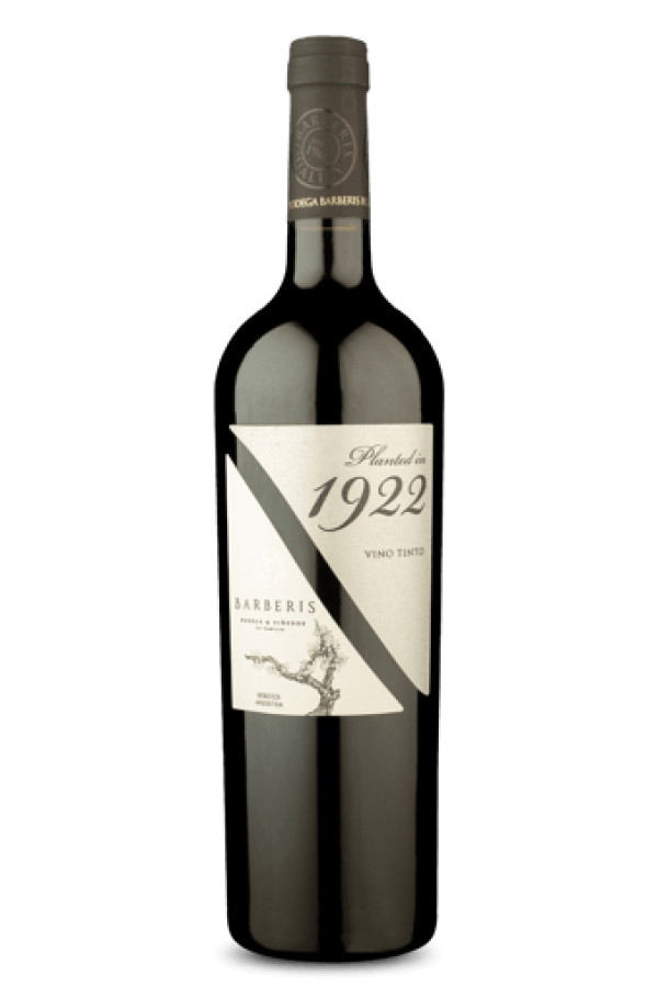 Planted in 1922 Tinto 2022
