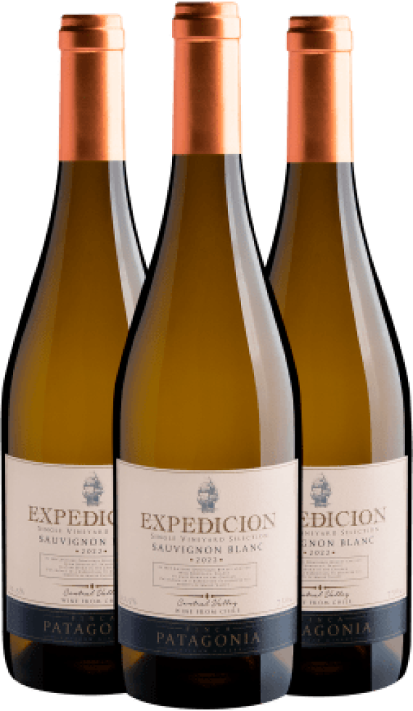 Kit 3 Finca Patagonia Expedicion Sauvignon Blanc