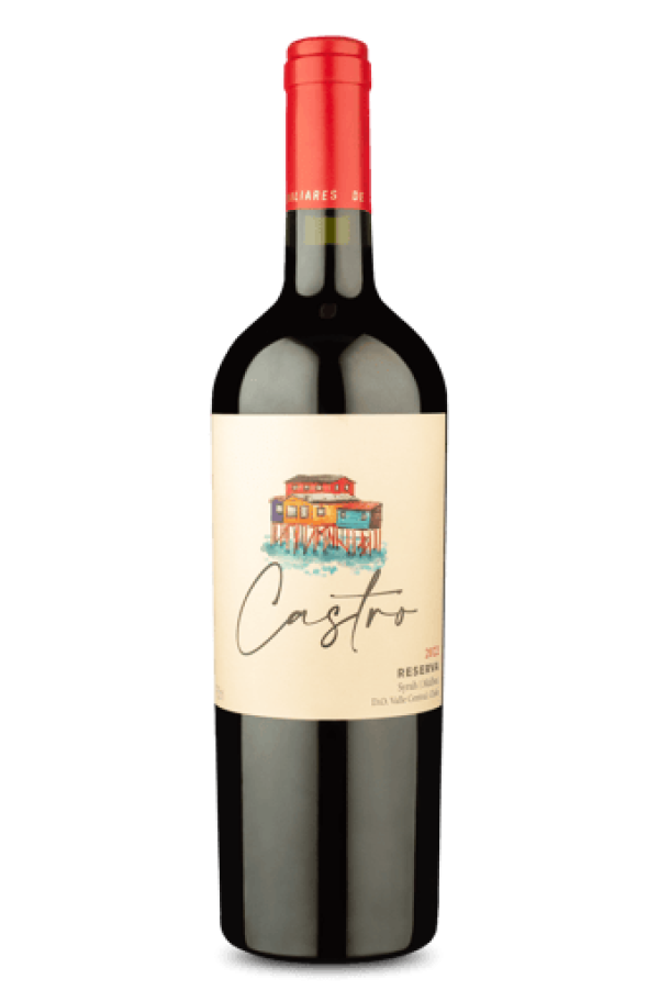 Castro Reserva Syrah Malbec 2022