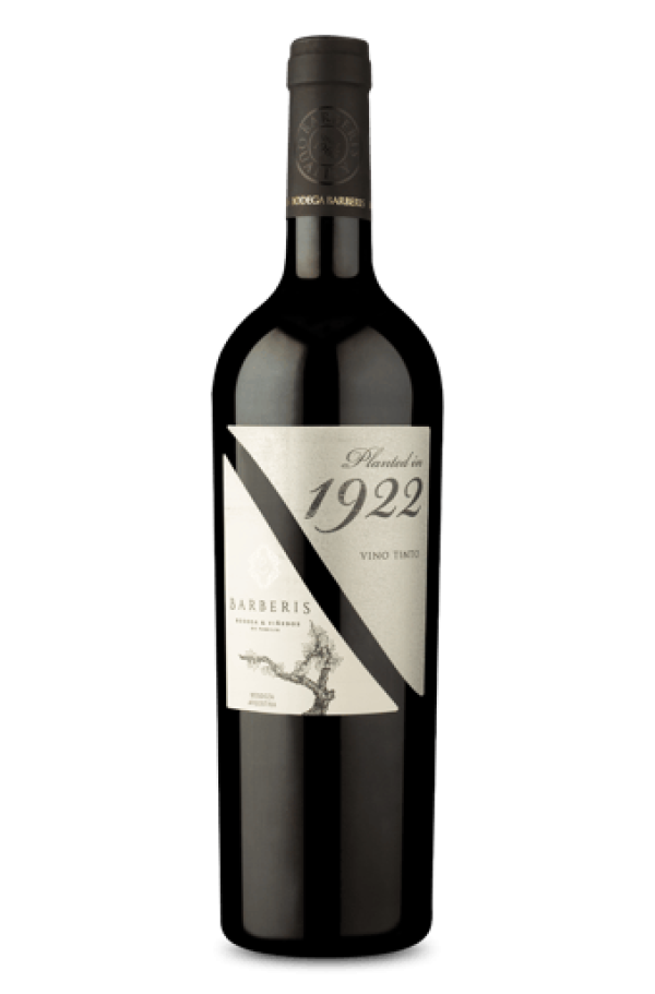 Planted in 1922 Tinto 2023