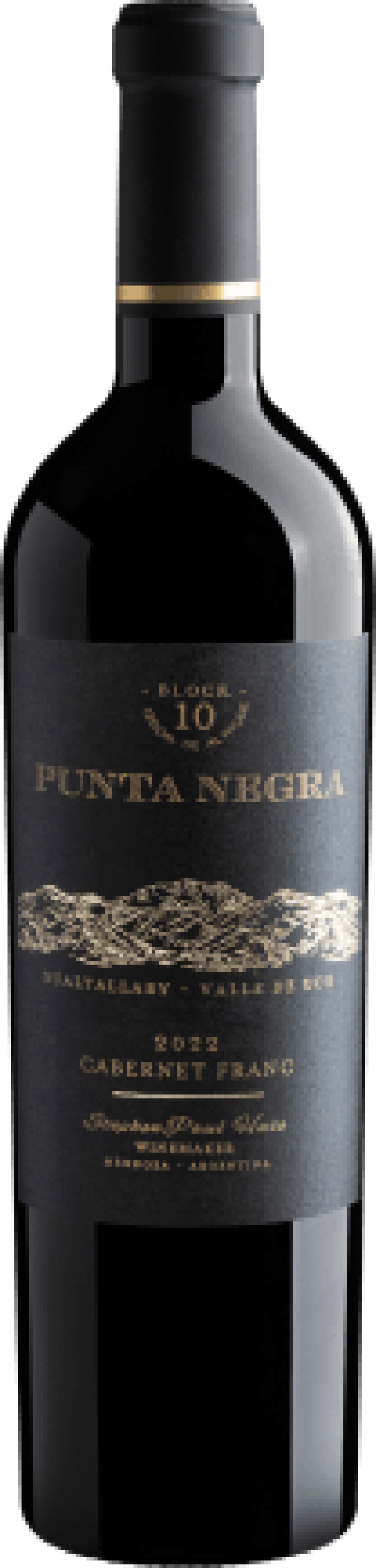 Punta Negra Block 10 Cabernet Franc 2022