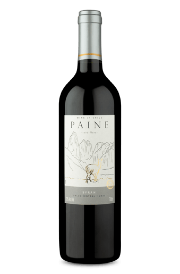 Paine Syrah 2023