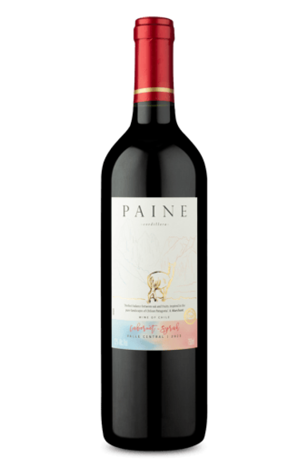 Paine Cabernet Sauvignon Syrah 2023