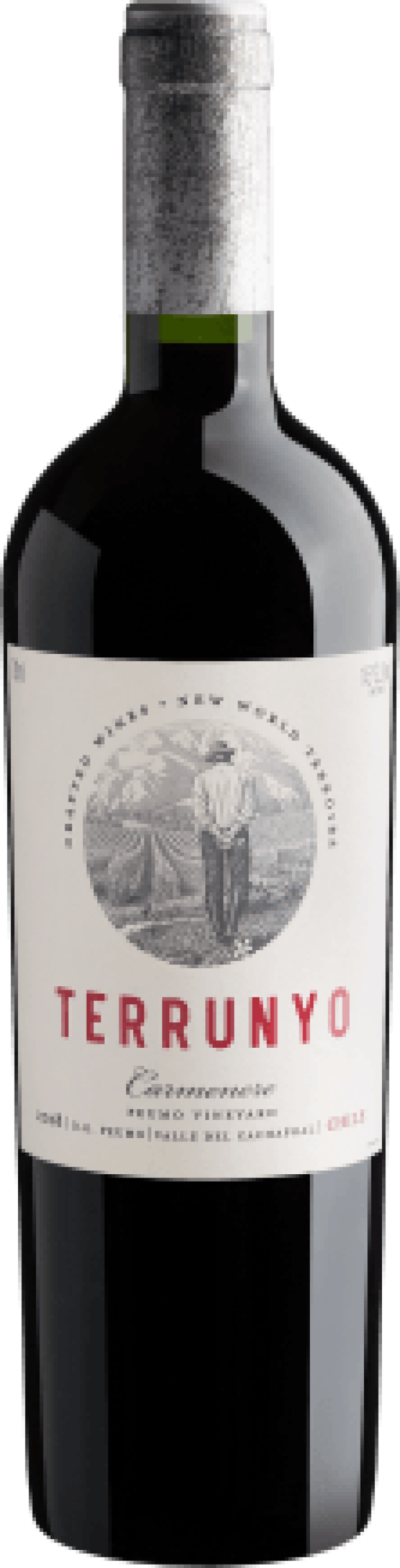 Terrunyo Carménère Peumo D.O. 2018