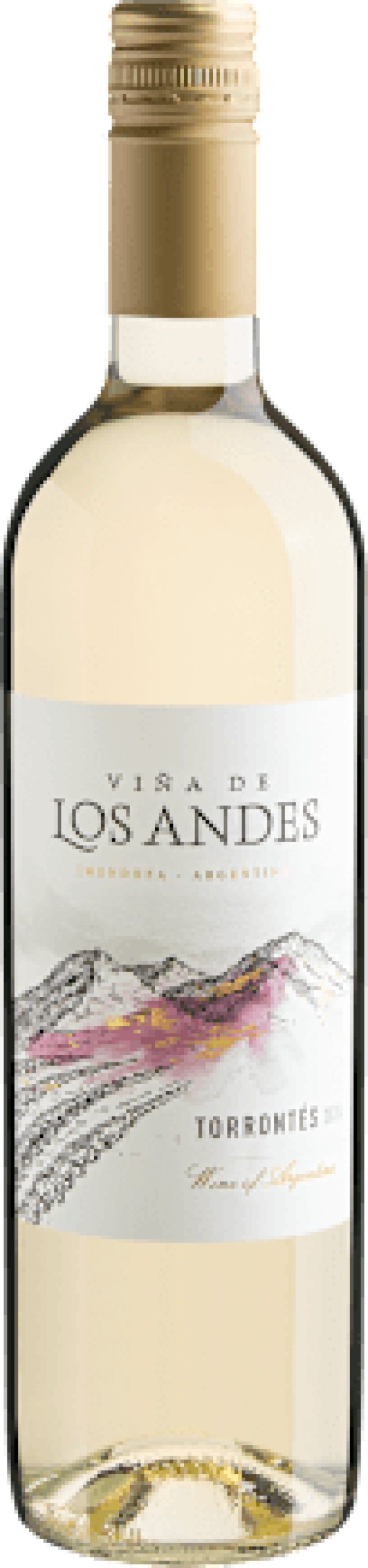 Viña de Los Andes Torrontés 2024