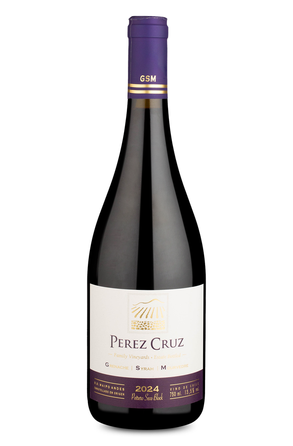 Pérez Cruz GSM D.O. Maipo Andes 2024