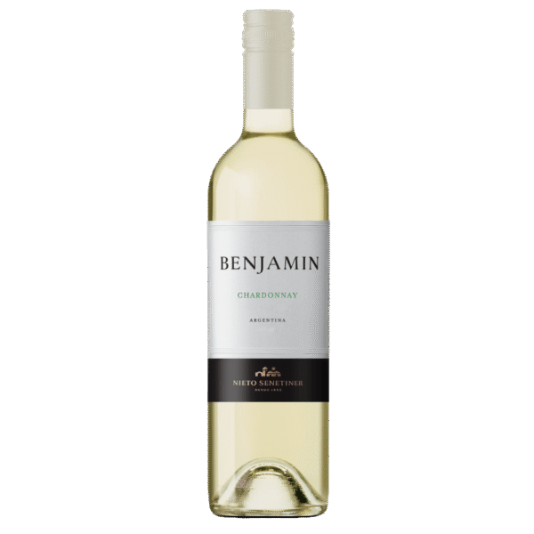Vinho Branco Argentino Benjamin Chardonnay
