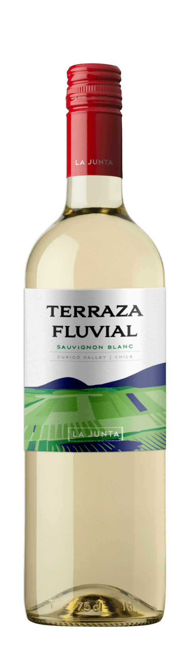 Vinho Branco Chileno Terraza Fluvial Sauvignon Blanc