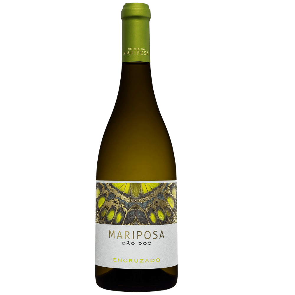 Vinho Branco Português Mariposa Dão D.O.C. Encruzado