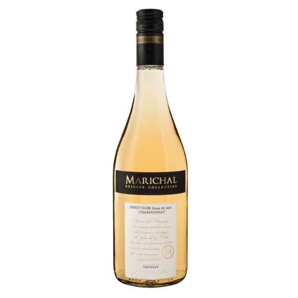 Vinho Rosé Uruguaio Marichal Reserve