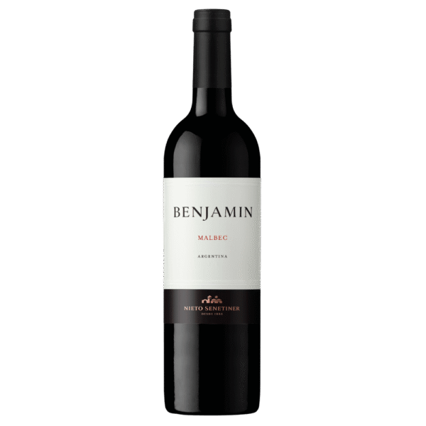 Vinho Tinto Argentino Benjamin Malbec