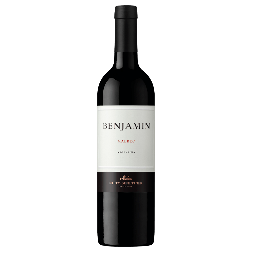 Vinho Tinto Argentino Benjamin Malbec