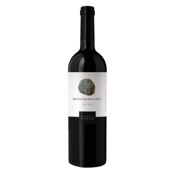 Vinho Tinto Argentino Benvenuto De La Serna Malbec