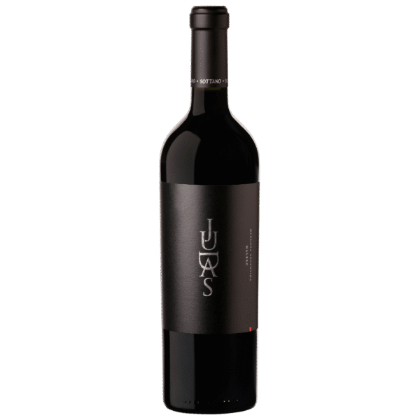 Vinho Tinto Argentino Judas Malbec
