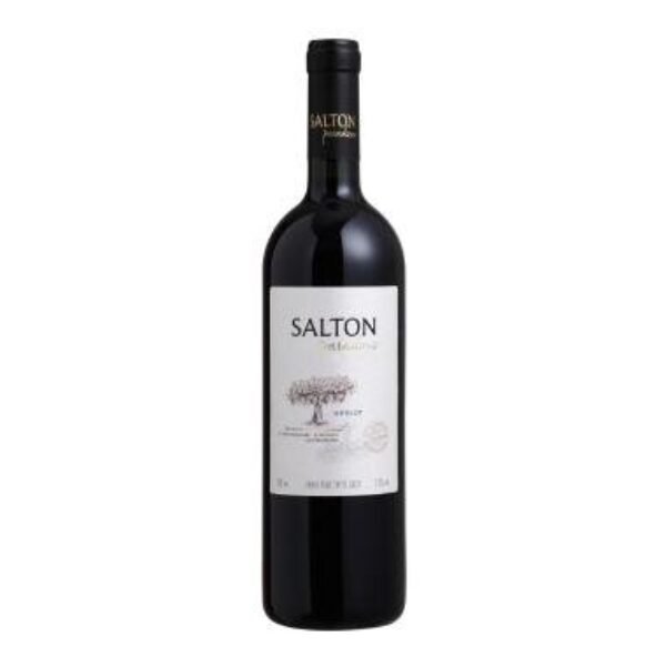 Vinho Tinto Brasileiro Salton Paradoxo Merlot