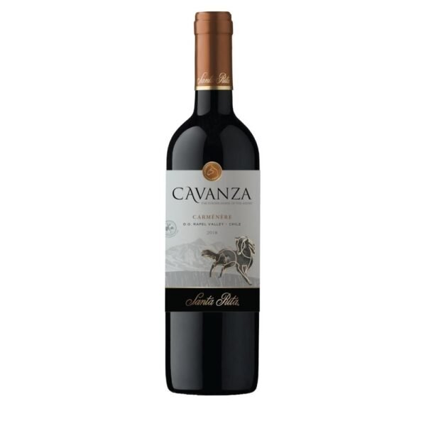 Vinho Tinto Chileno Cavanza Carménère