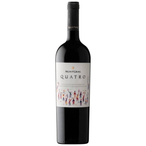Vinho Tinto Chileno Montgras Quatro