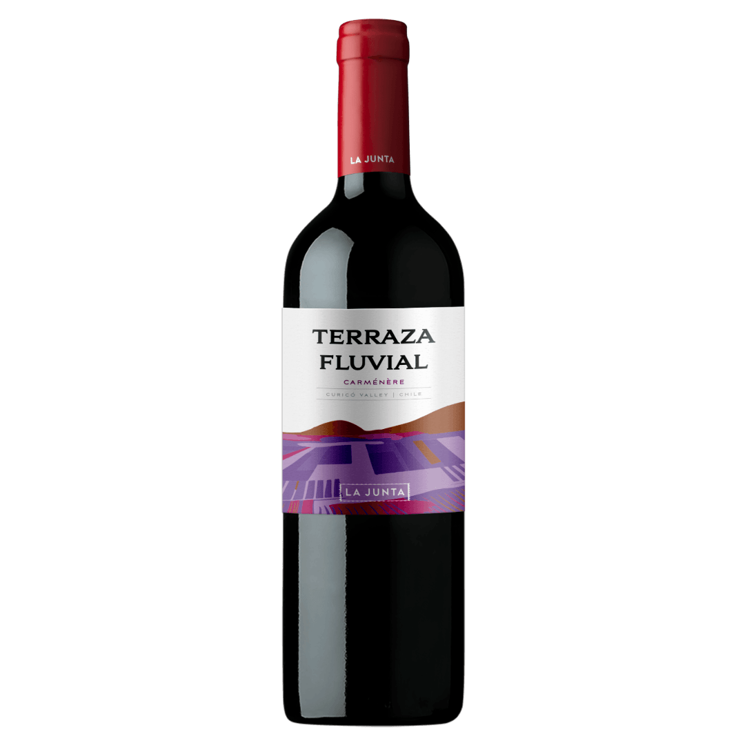 Vinho Tinto Chileno Terraza Fluvial Carménère