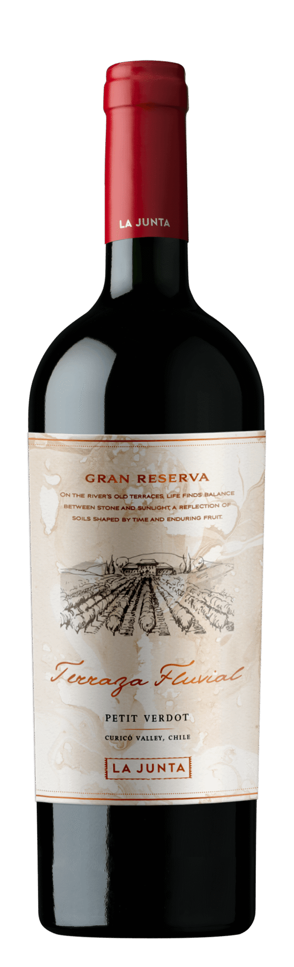 Vinho Tinto Chileno Terraza Fluvial Gran Reserva Petit Verdot