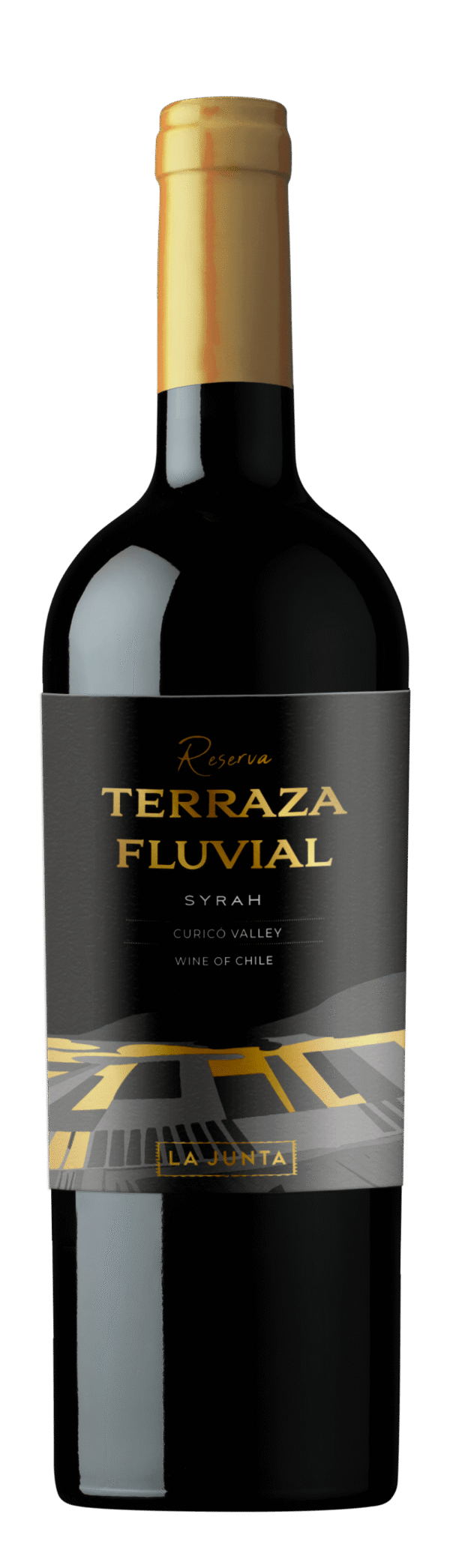Vinho Tinto Chileno Terraza Fluvial Reserva Syrah
