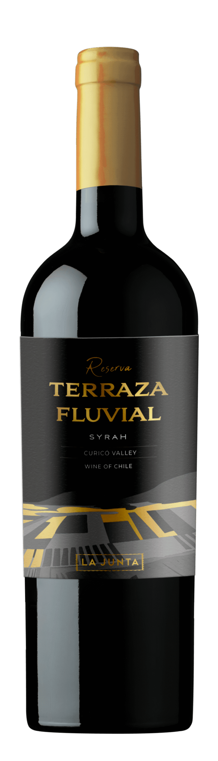 Vinho Tinto Chileno Terraza Fluvial Reserva Syrah