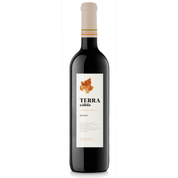 Vinho Tinto Espanhol Terra Calida