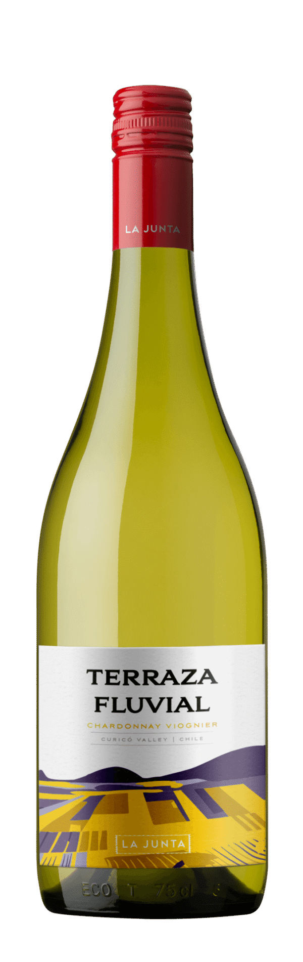 Vinho Branco Chileno Terraza Fluvial Chardonnay Viognier