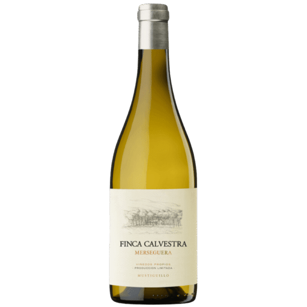 Vinho Branco Espanhol Bodega Mustiguilo Finca Calvestra  Merseguera