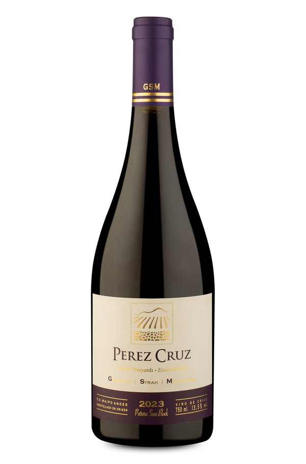 Pérez Cruz GSM D.O. Maipo Andes 2023