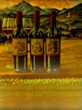 Três vinhos argentinos para descobrir na Evino