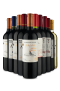 Kit Sul-americanos Incríveis (10 Vinhos)