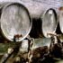 A Conexão entre Vinho e Rock ‘n’ Roll: Uma Mistura de Sabores e Atitude